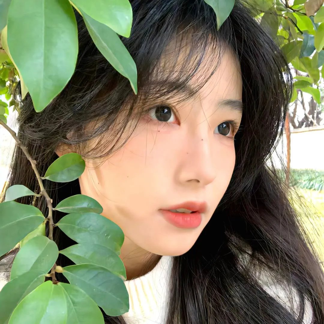 我是只小小鸟
